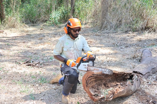 Rangers restoring and learning on Country at Nudgee Waterholes | Indigenous