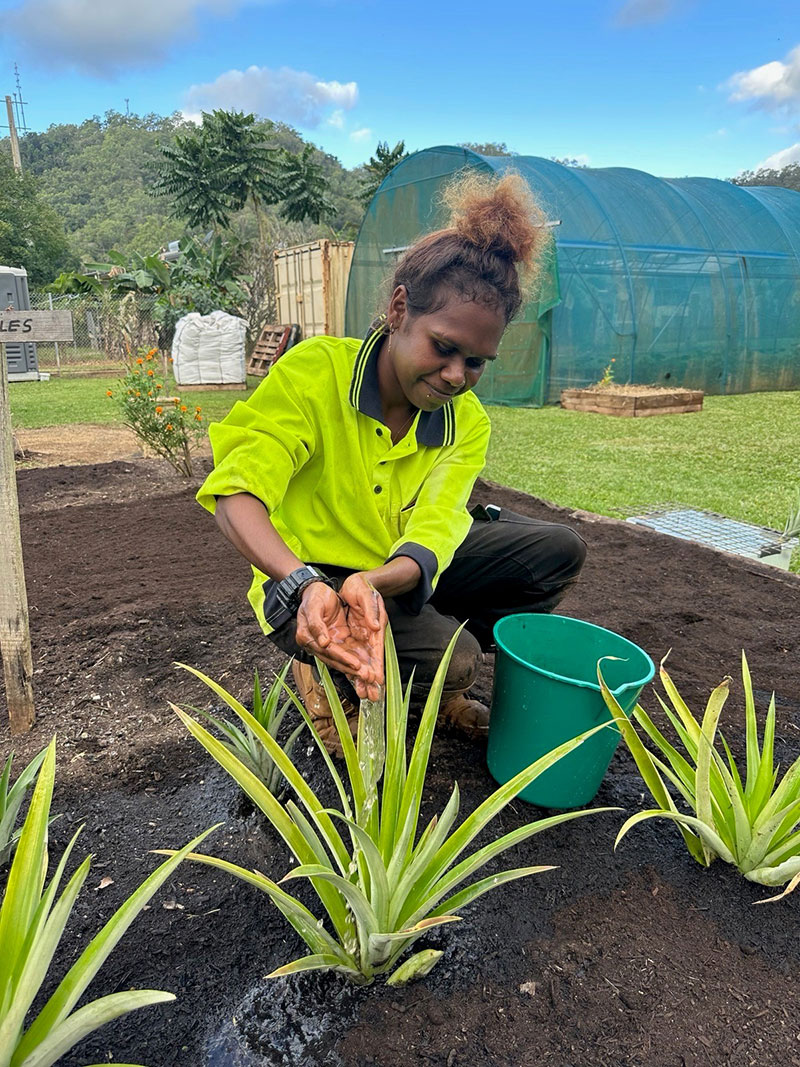 A worker spills water from their hands onto a plant