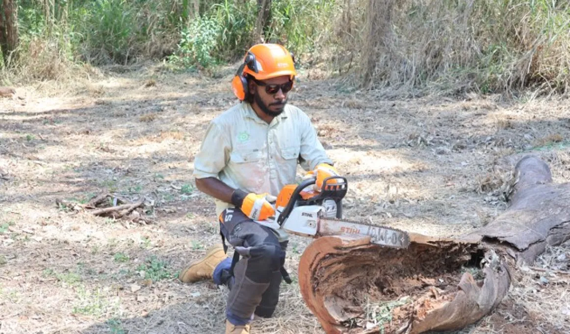 Caption: Dereece Gray chain sawing fallen tree as part of cultural preservation of the Nudgee waterholes.