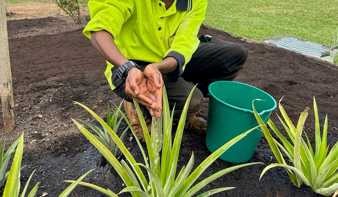 A man holds soil in his hands