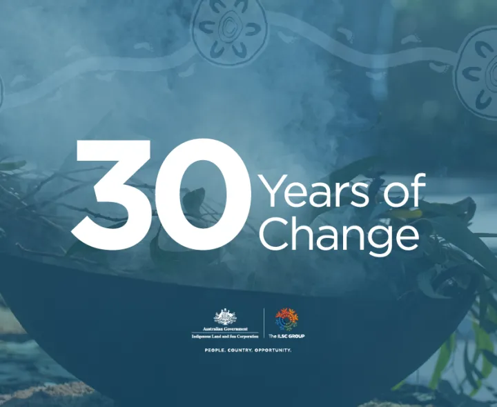 30 years of change poster