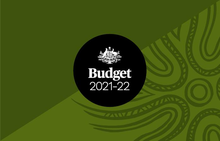 Green tile with indigenous designs and the text: Budget 2021-22