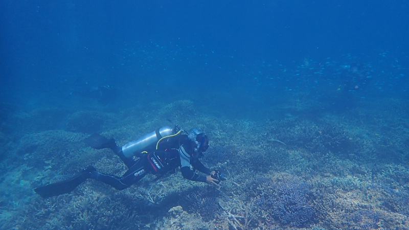Kelvin Rowe scuba diving at Lady Elliot Island August 2023