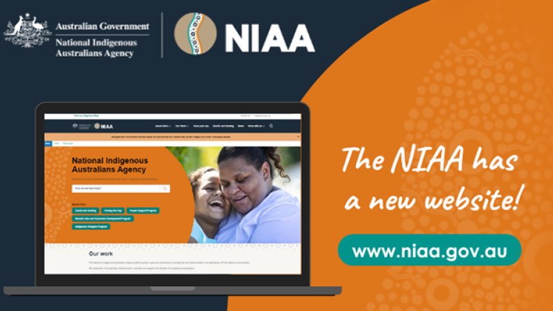 The NIAA has a new website!